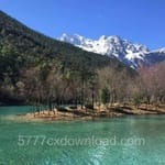 Avatar of Hina Tariq