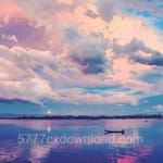 دانیال حیدر